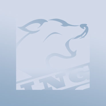 Flying Dogs logotype